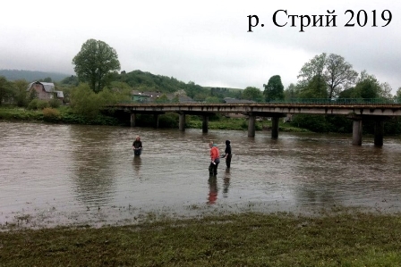 Річка Стрий, 2019