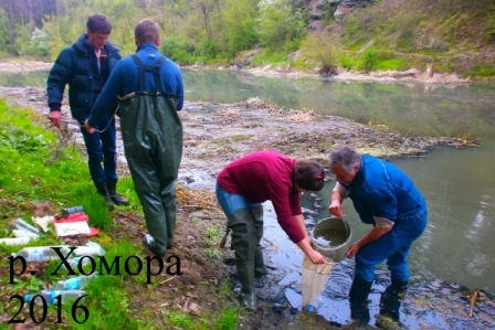 Річка Хомора, 2016